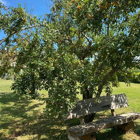 Les Feuilles Jaunes Chantenay-Saint-Imbert Exterior foto